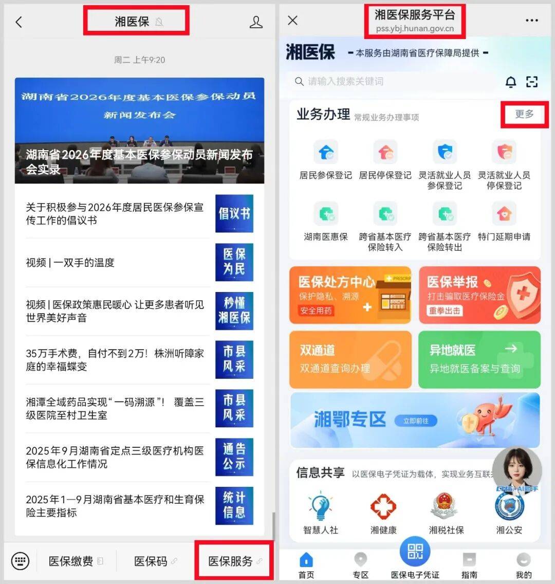 岳阳医保提取平台(医保提取平台官网)